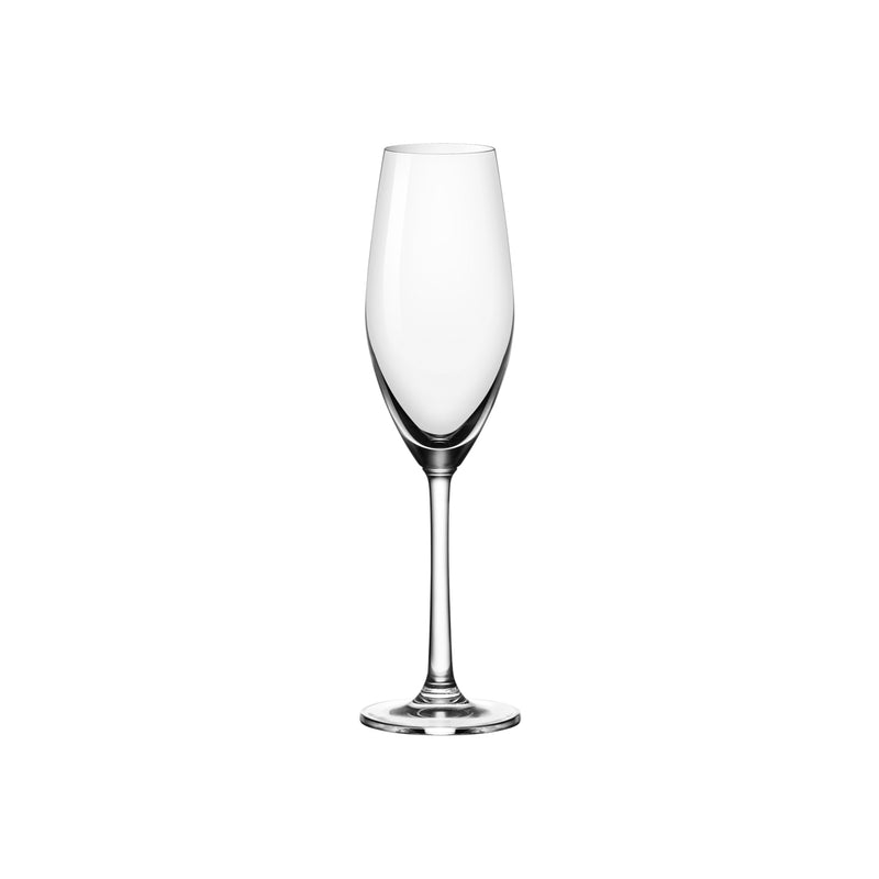 72.CC301607 Ocean Sante Champagne Flute 210ml (24/Ctn) Globe Importers Adelaide Hospitality Supplies