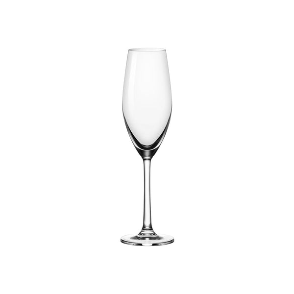 72.CC301607 Ocean Sante Champagne Flute 210ml (24/Ctn) Globe Importers Adelaide Hospitality Supplies