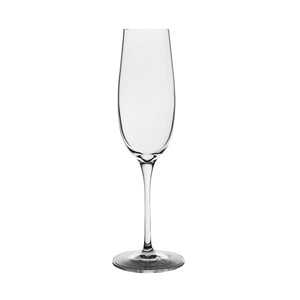 CC6609233 Luigi Bormioli Palace Champagne Flute Globe Importers Adelaide Hospitality Suppliers